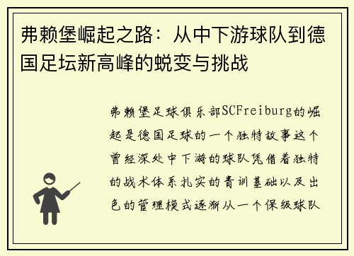 弗赖堡崛起之路:从中下游球队到德国足坛新高峰的蜕变与挑战