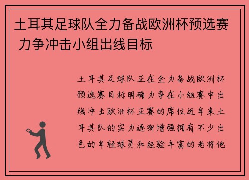 土耳其足球队全力备战欧洲杯预选赛 力争冲击小组出线目标