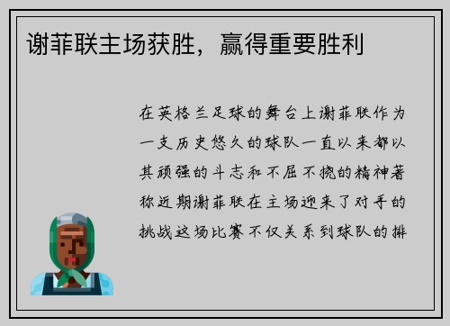 谢菲联主场获胜,赢得重要胜利